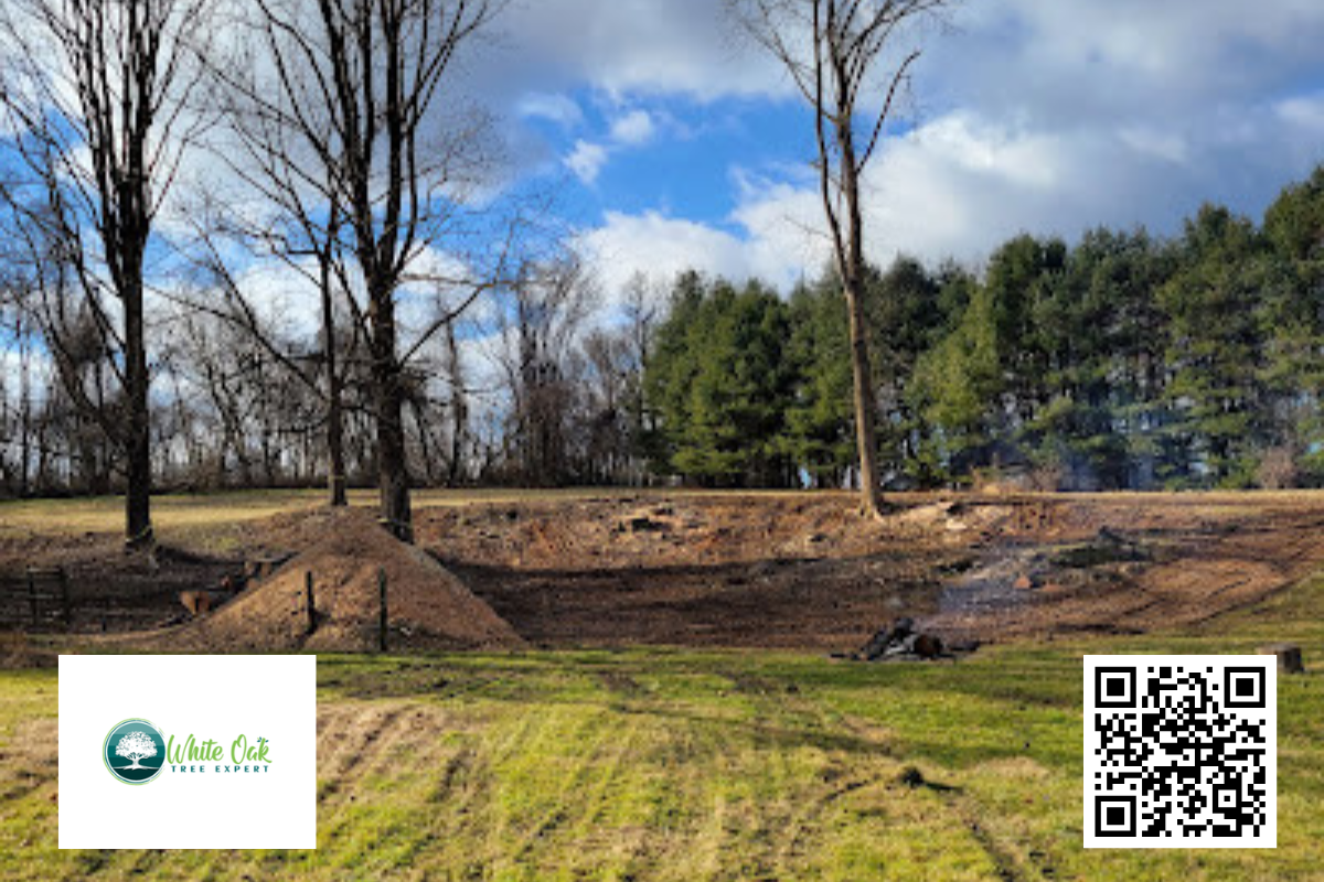 local tree service glen burnie, md